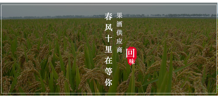 重庆果酒厂家
