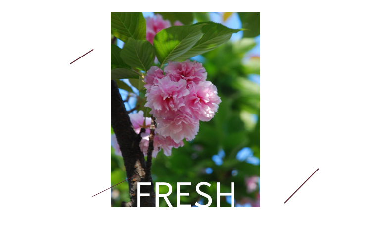 鲜花果酒