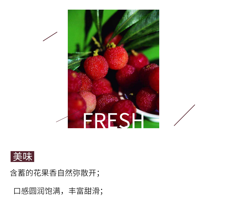 大型的重庆果酒批发商
